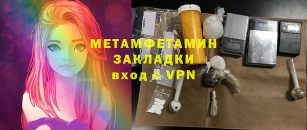 индика Дмитров
