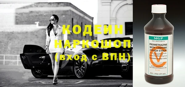 индика Дмитров