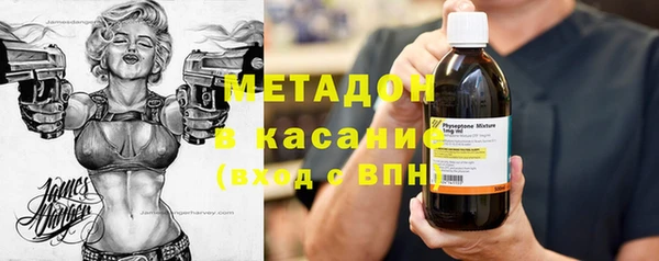 индика Дмитров
