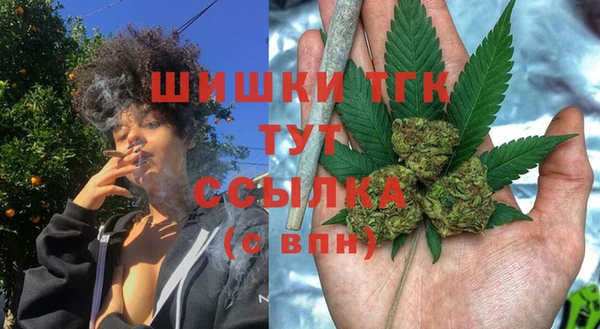 индика Дмитров