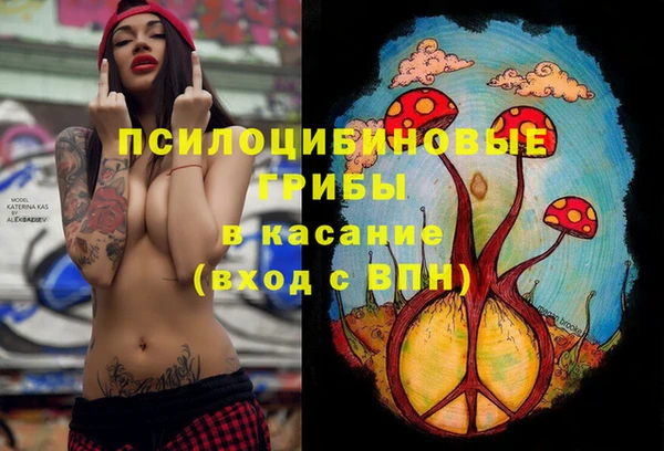 ECSTASY Дмитриев