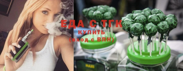 индика Дмитров