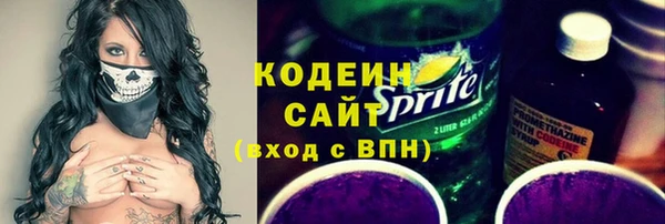 индика Дмитров