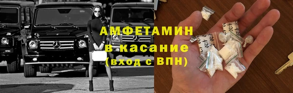 шишки Дмитровск
