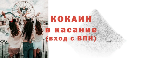 твердый Сосновоборск