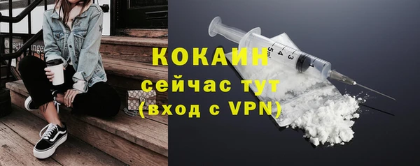ECSTASY Дмитриев