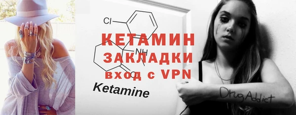 индика Дмитров