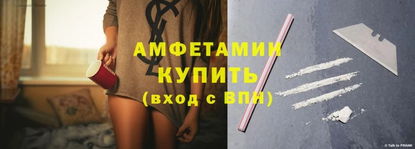 шишки Дмитровск