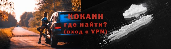 шишки Дмитровск