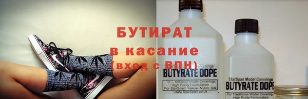 индика Дмитров