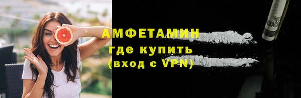 индика Дмитров