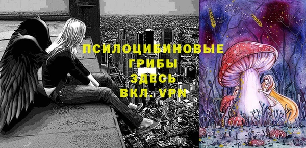 шишки Дмитровск