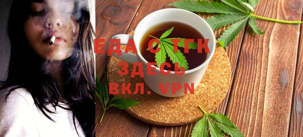 индика Дмитров