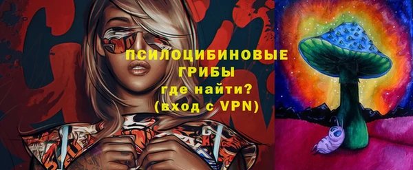 индика Дмитров