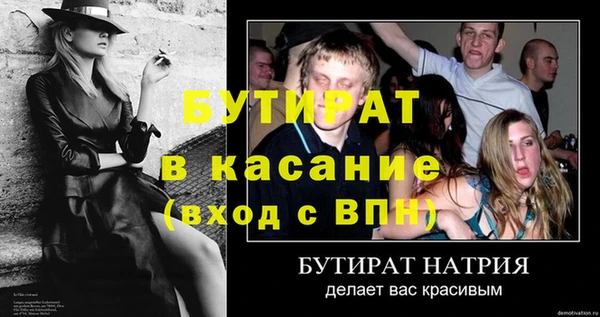 индика Дмитров