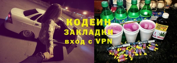 шишки Дмитровск